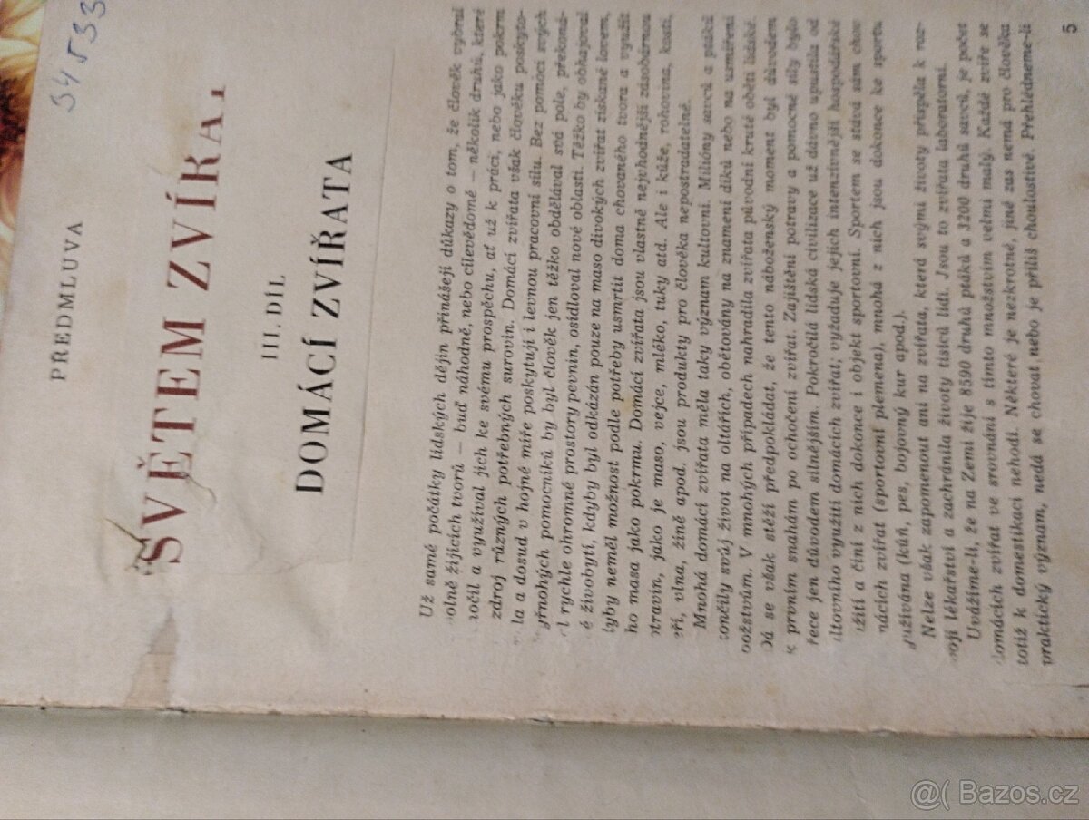 Domácí zvířata - 2