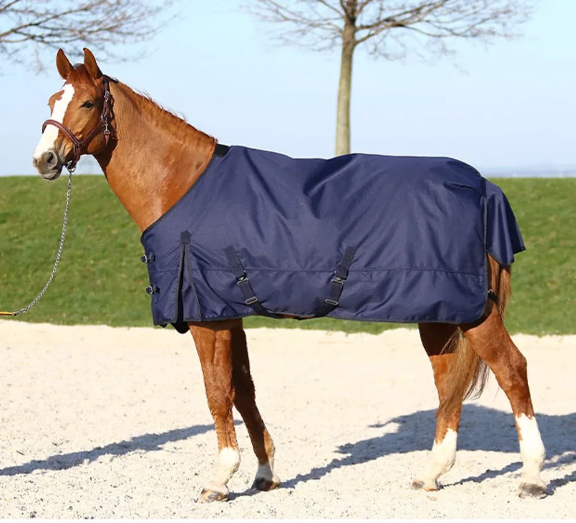 Deka termo výběhová - 2