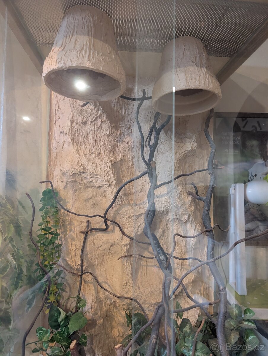 Terárium - 2