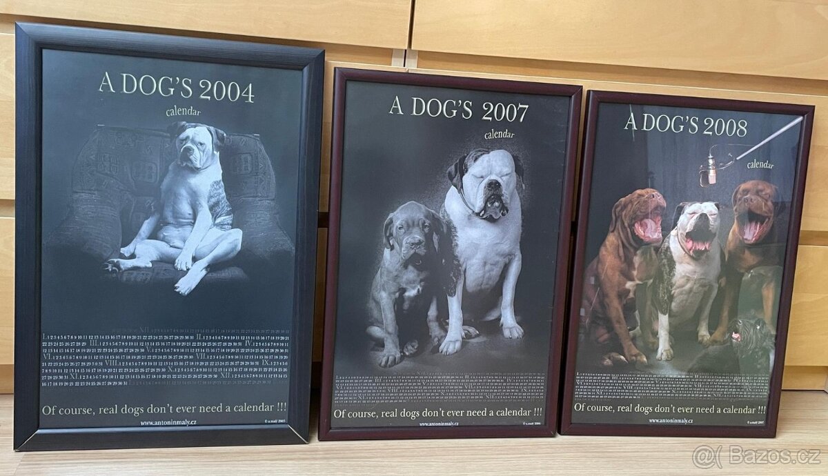 Foto Obrazy Antonín Malý s motivy psů 3 ks - 2