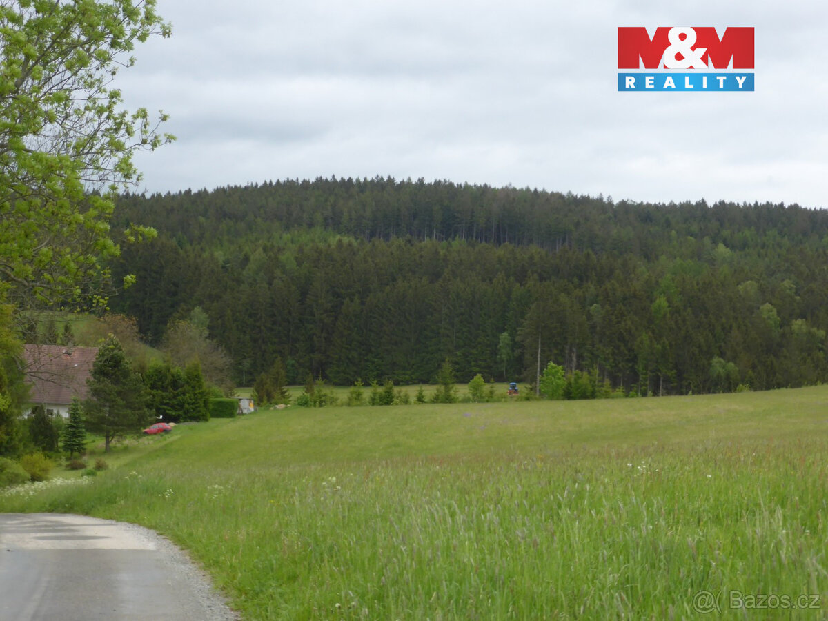 Prodej lesa, 26000 m², Vysoká Srbská, okres Náchod - 2