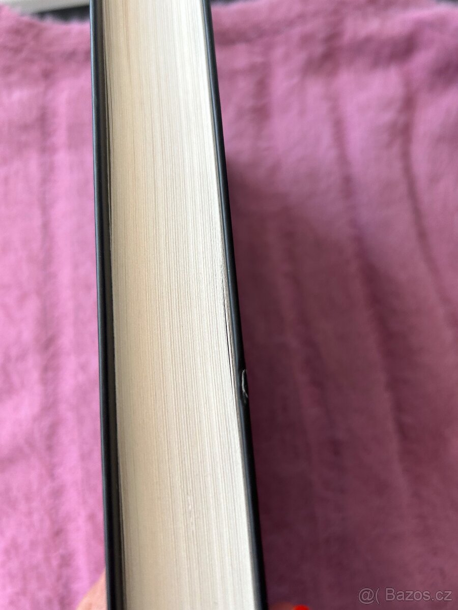 Gilly Macmillanová- Pád - 2