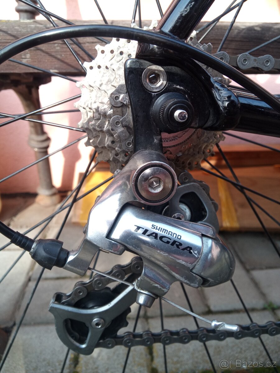 Schwinn Fastback - 2