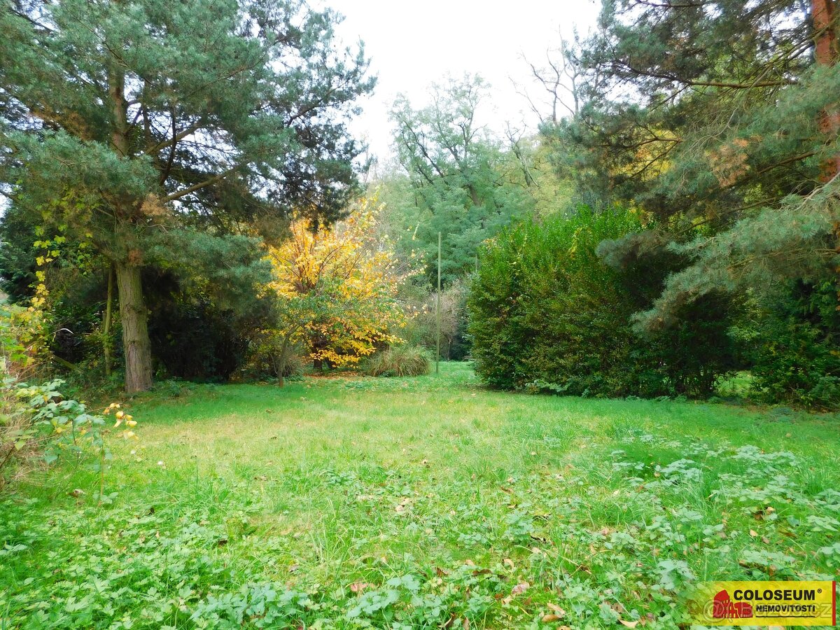 Dyje, zahrada, chatka 482 m² – pozemek, ev.č. V3288Z038 – pohled 2