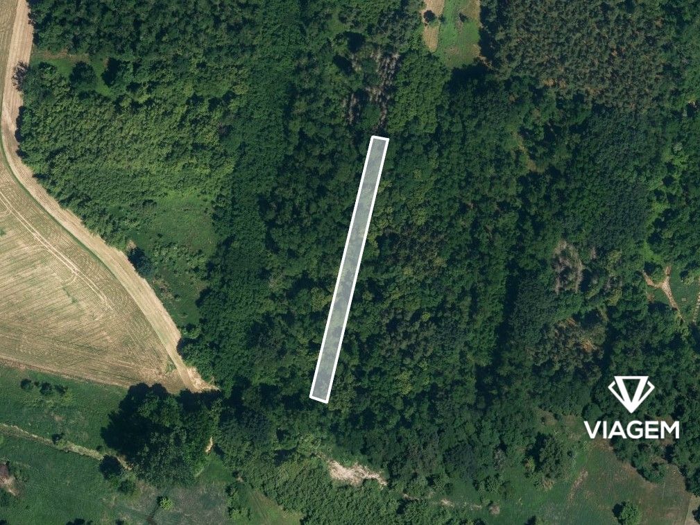 Les 1 274 m² - 2