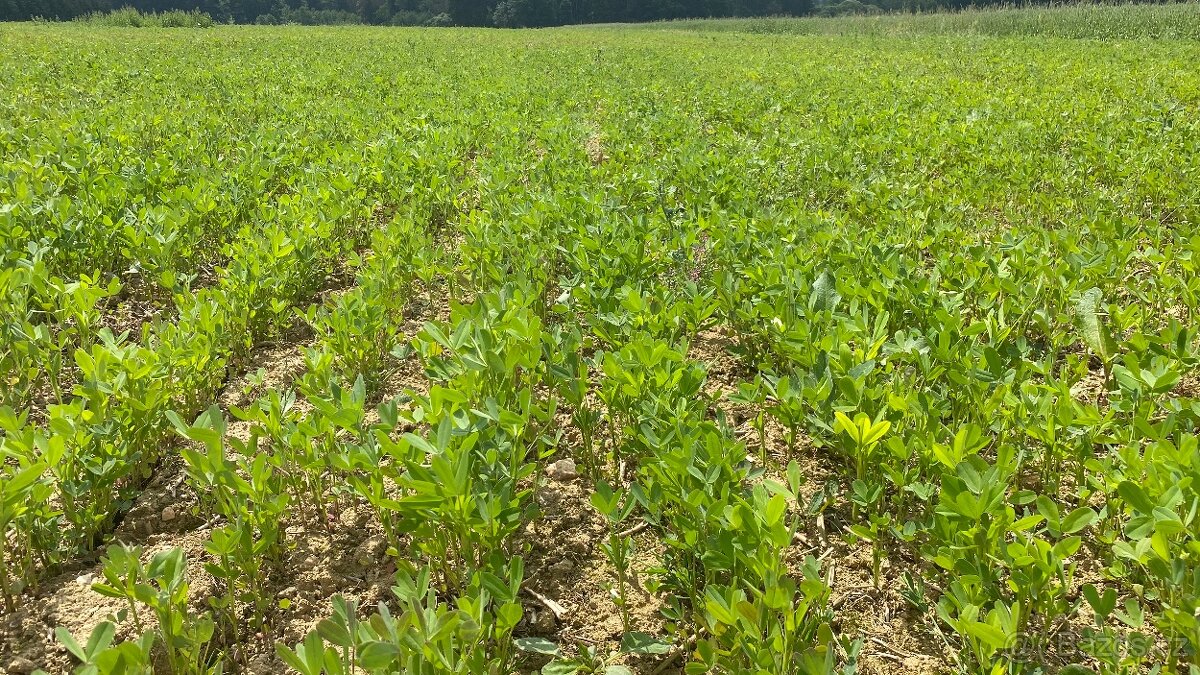 Prodám secí stroj no-till AGRISEM mBOSS 18R16,7 - 2