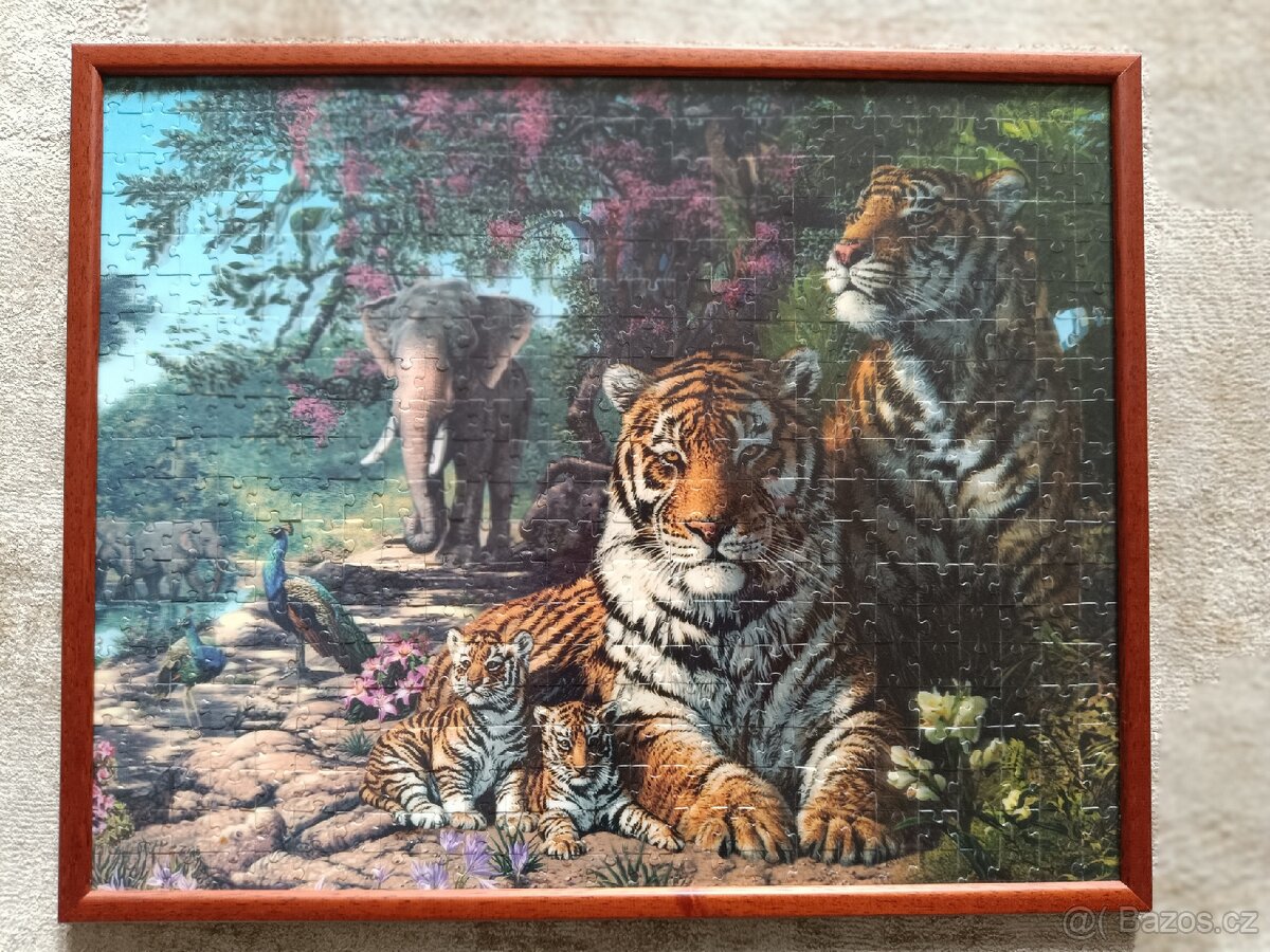Obraz - puzzle motiv džungle (tygři) - 2