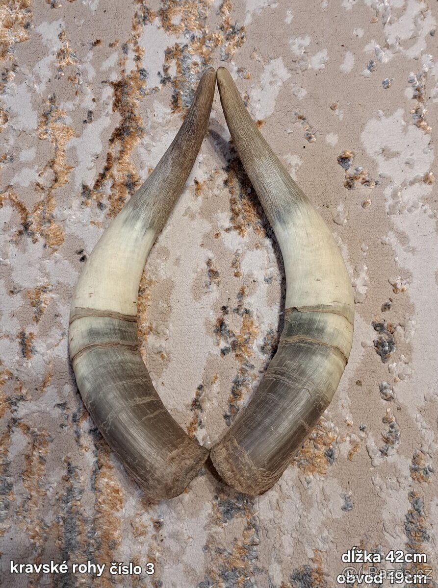 Rohy 25-70cm - 2