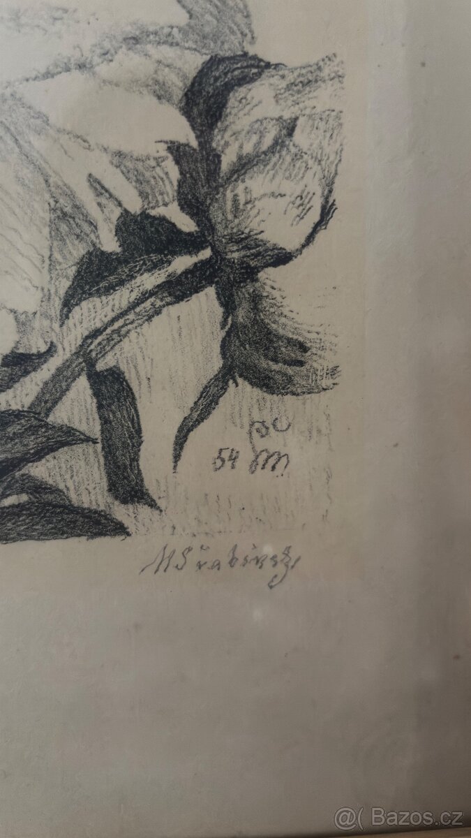 Obraz Max Švabinský Pivoňky - 2