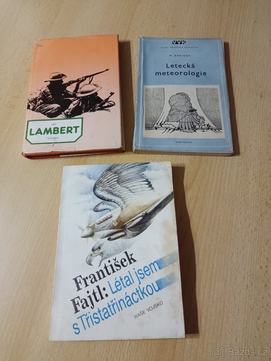 SS Hitlerova černá garda,Válka ve vzduchu - 2