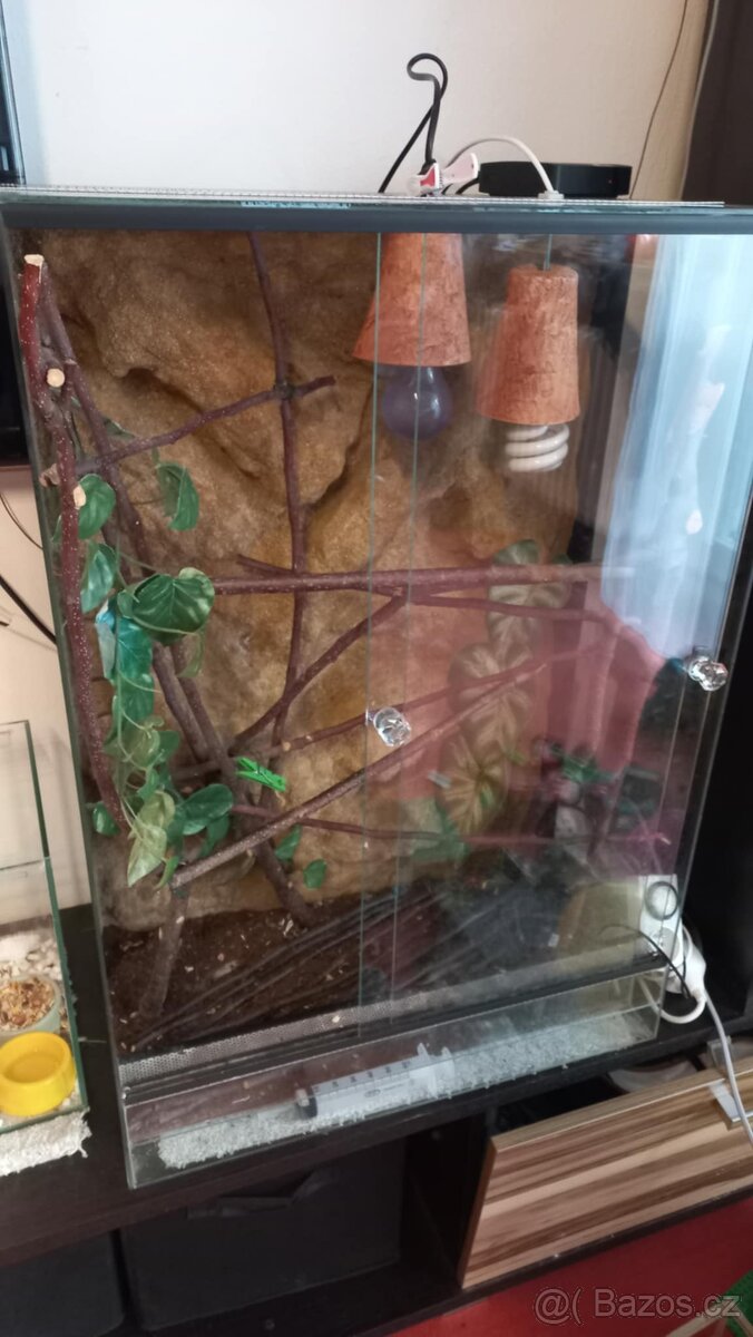 Terárium 80x55x35 - 2