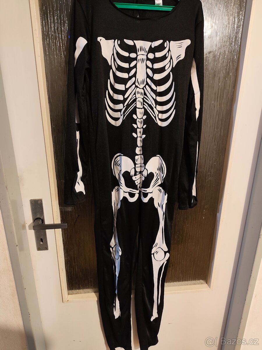 Karnevalový kostym - 2