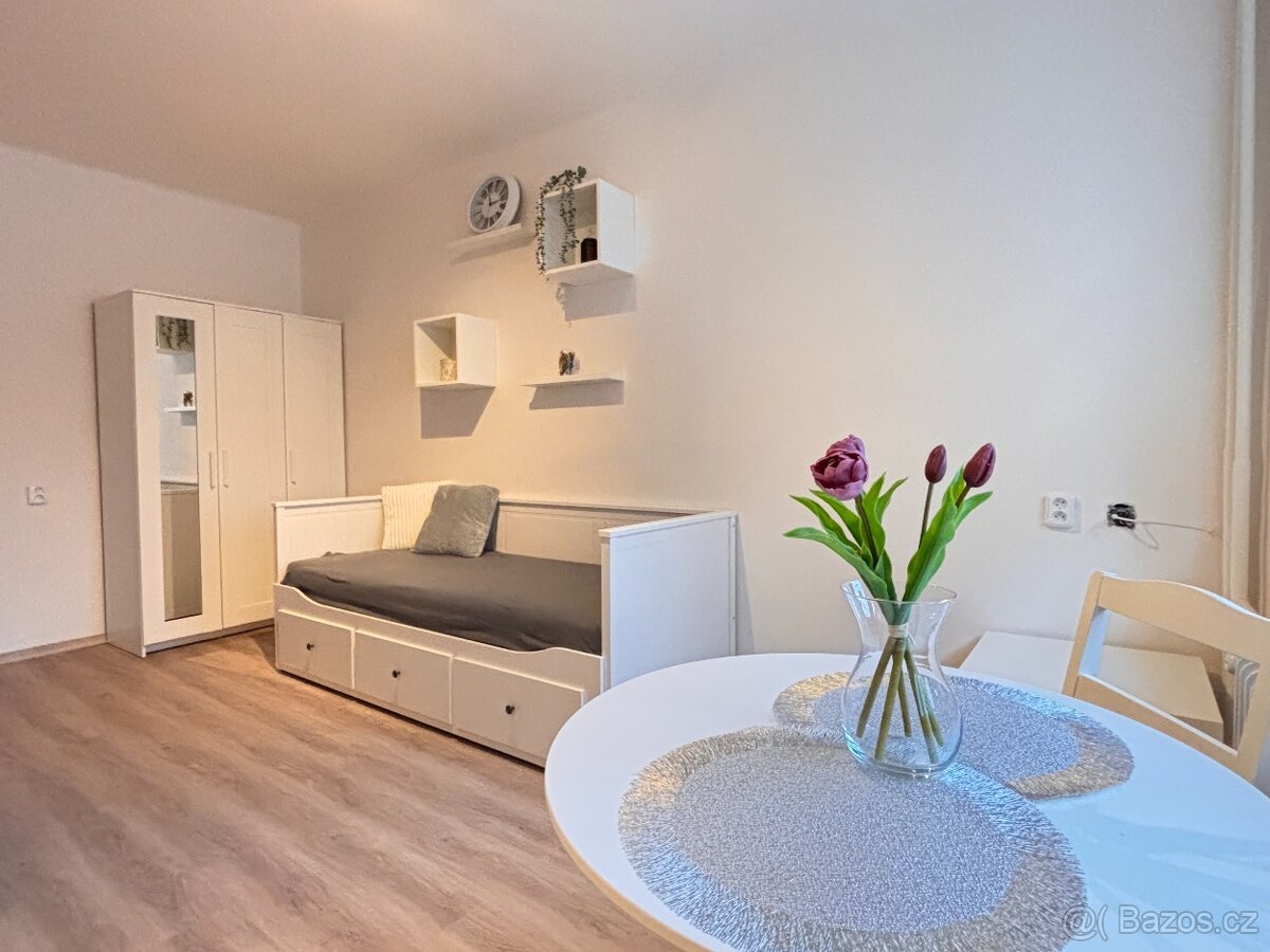 Pronájem bytu Tachov - 2