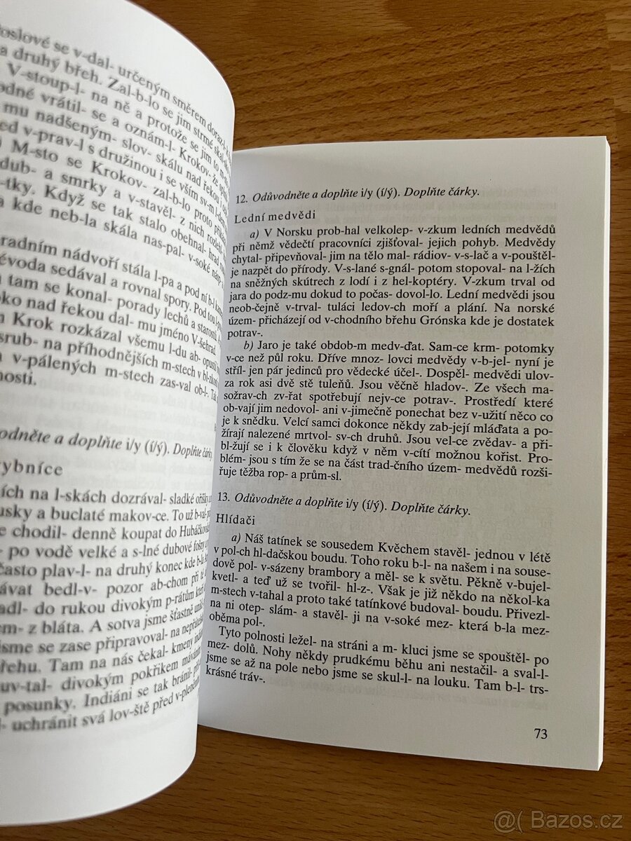 Český jazyk pro 8. ročník ZŠ - 2