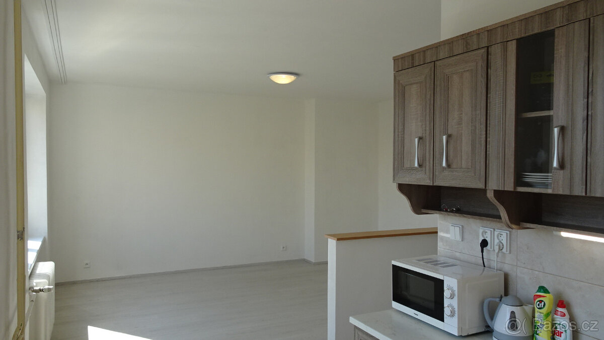 Pronájem slunného bytu 2+1 - 2