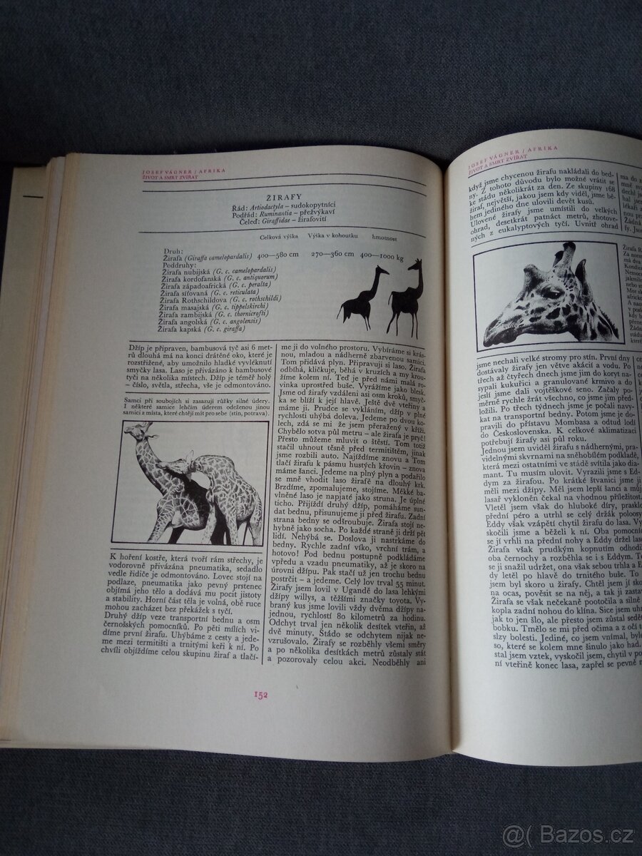 J.Vágner -Afrika - 2