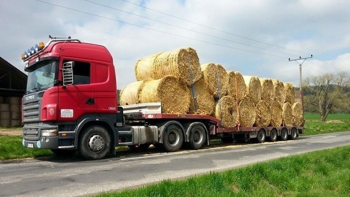 Řidič sk.C+E - 2