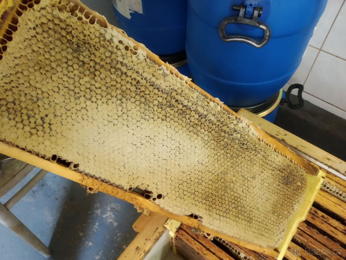 Včelí med. Přímo od včelaře - 2