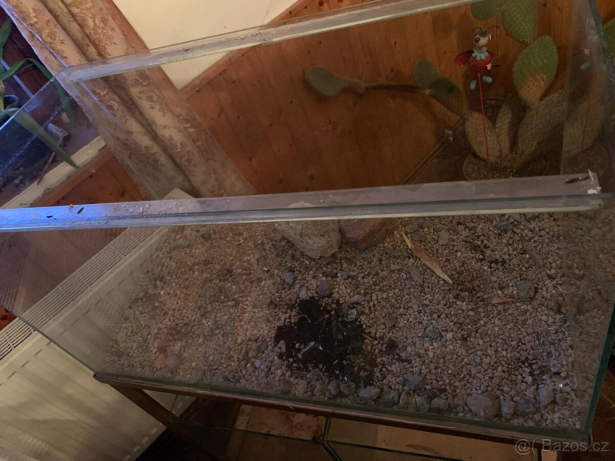Akvarium stěna - 2