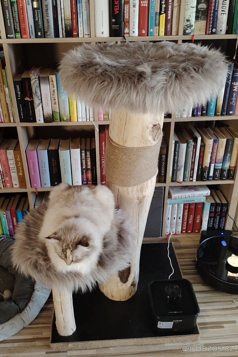 Kočičí strom 😺 - 2