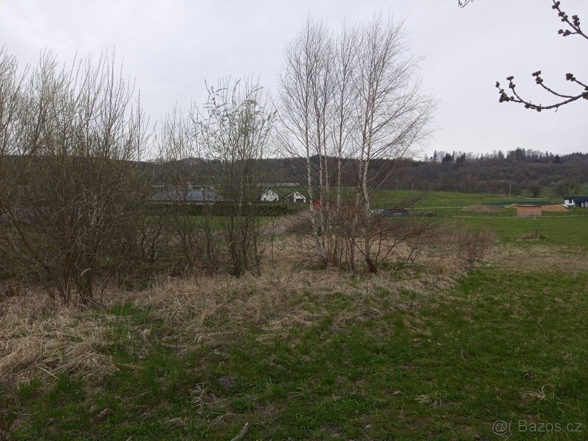 Pronájem pozemku - 2