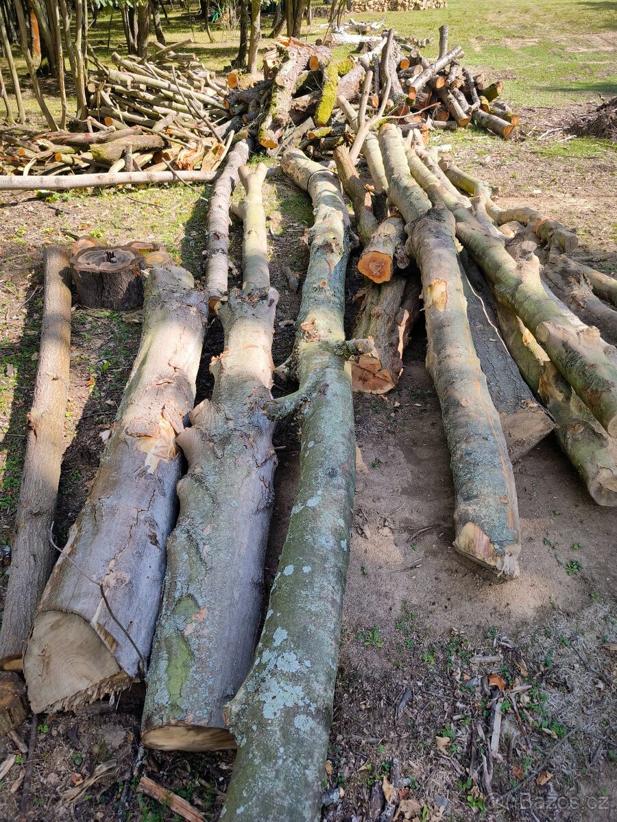 Prodám převážně Tvrdé listnaté dřevo - 2