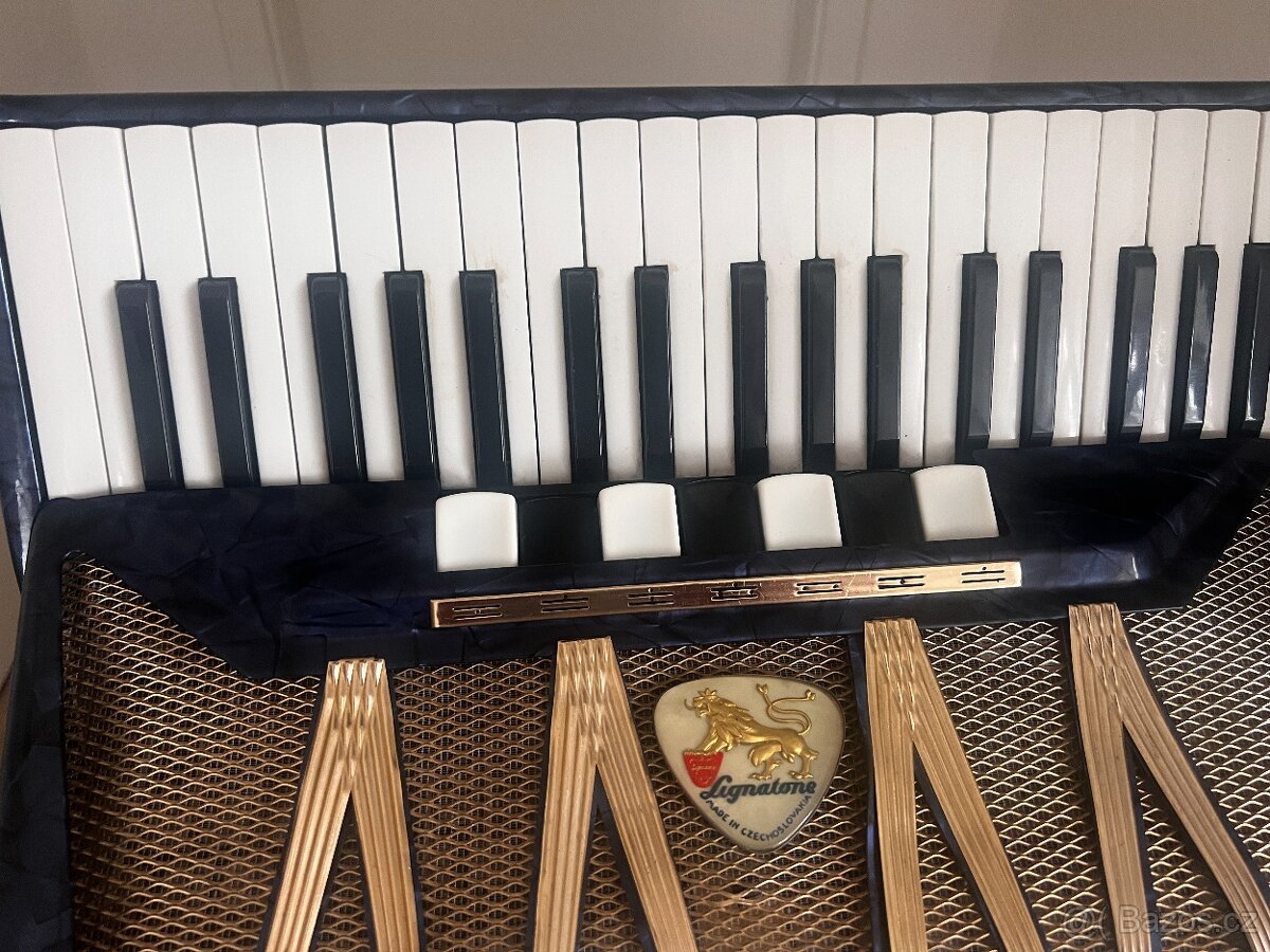 DELICIA MELODIA VIII 80B - 2