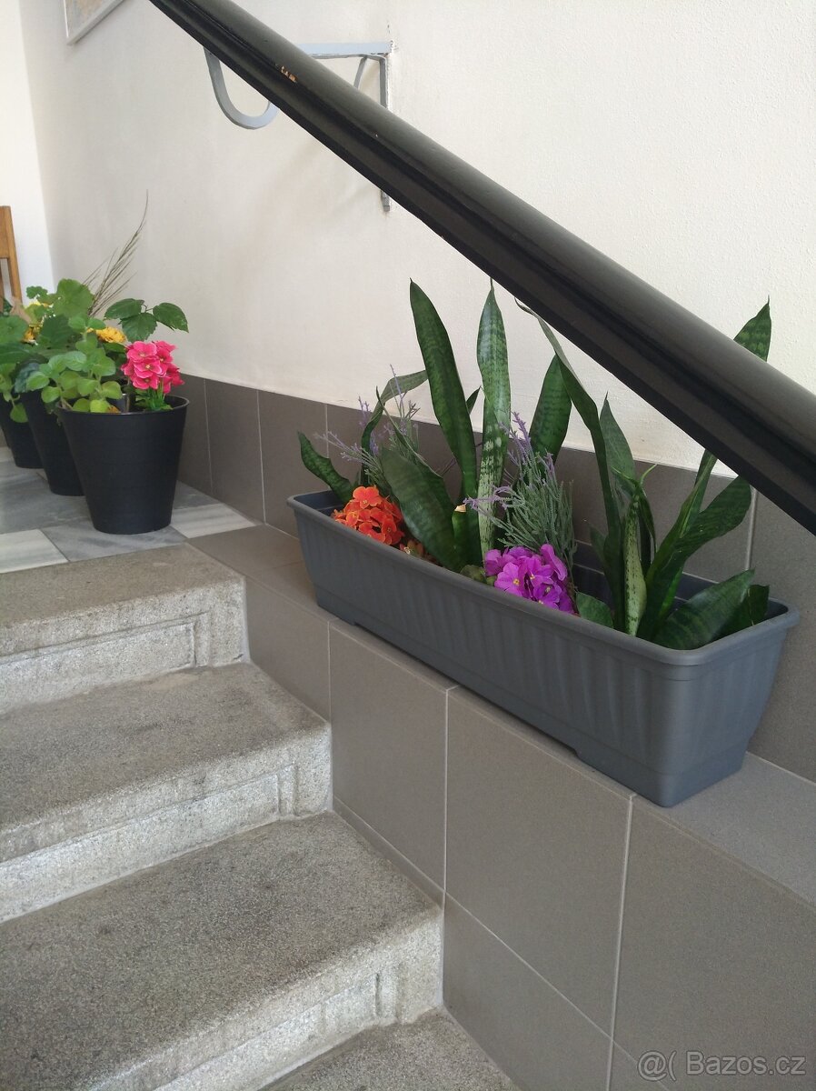 Levné ubytování Praha 8 Libeň, metro B-Palmovka - 2