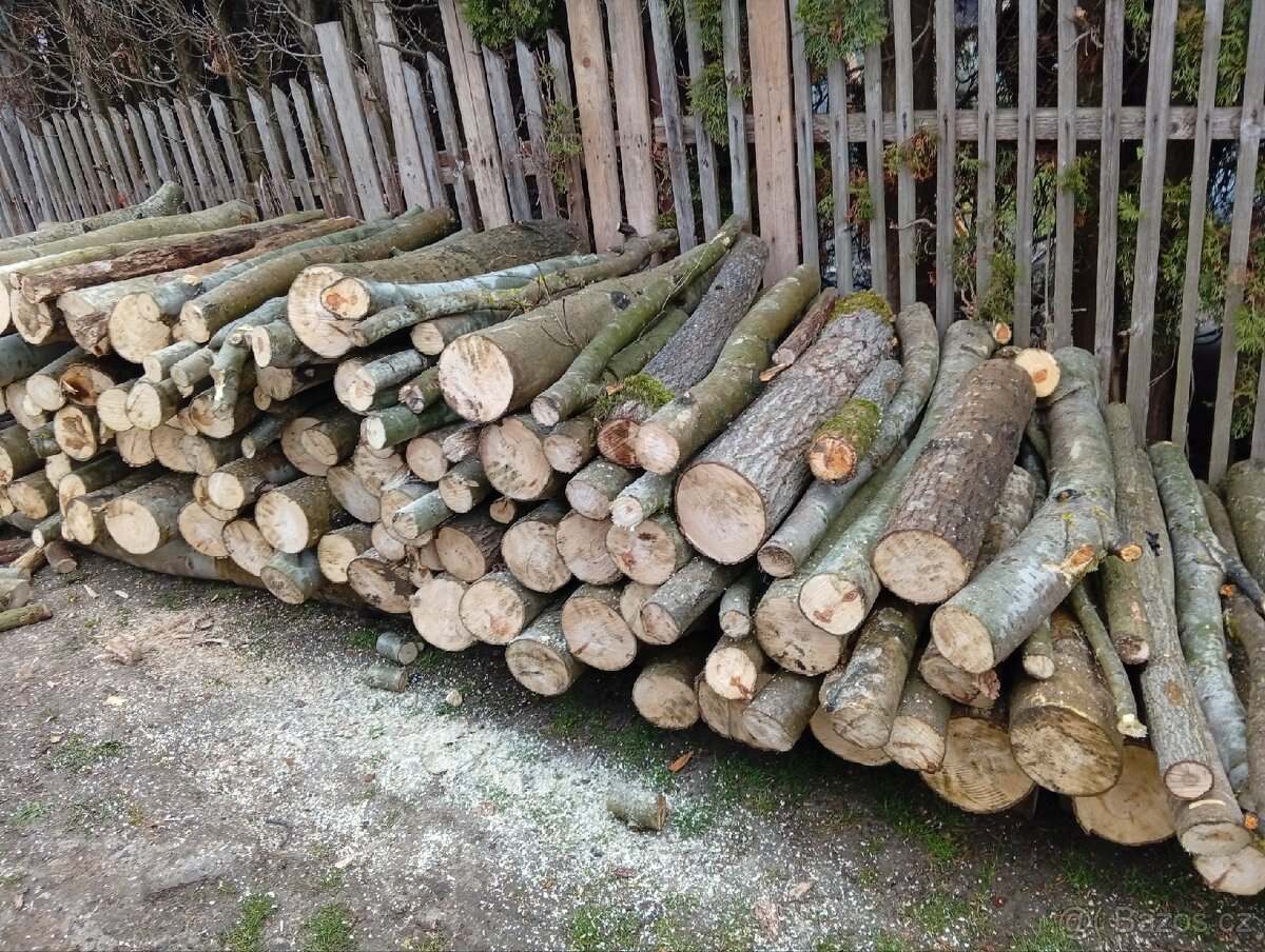 Palivové dřevo - 2
