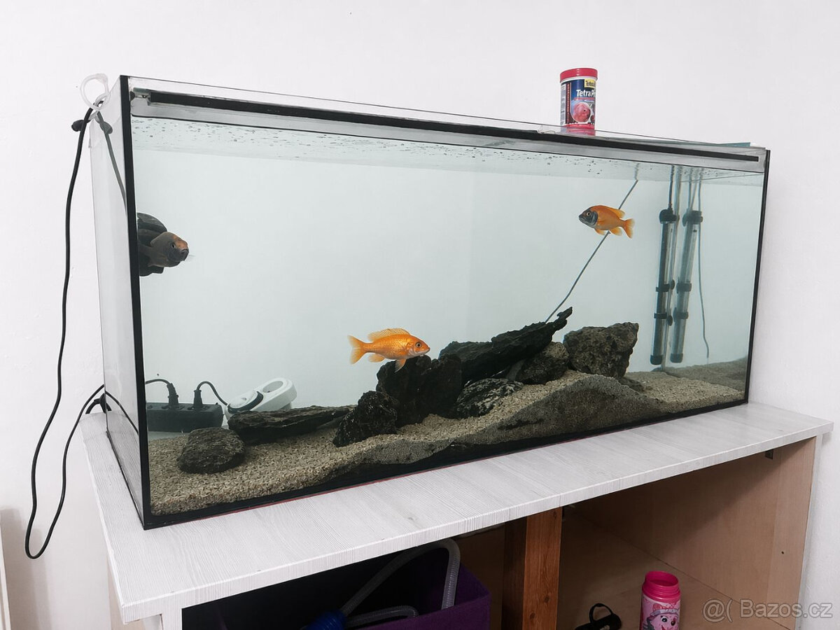 Akvárium 240L + ryby + stůl - 2
