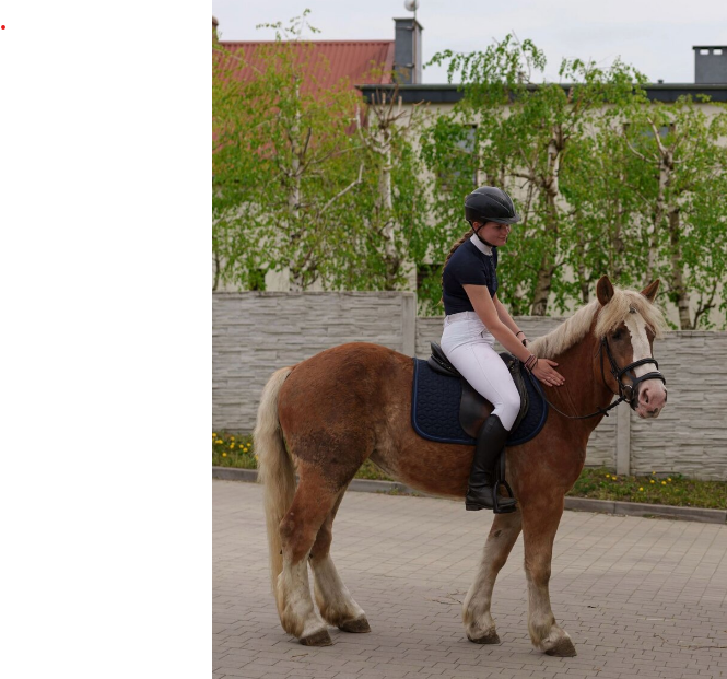 Klisna haflingského - 2