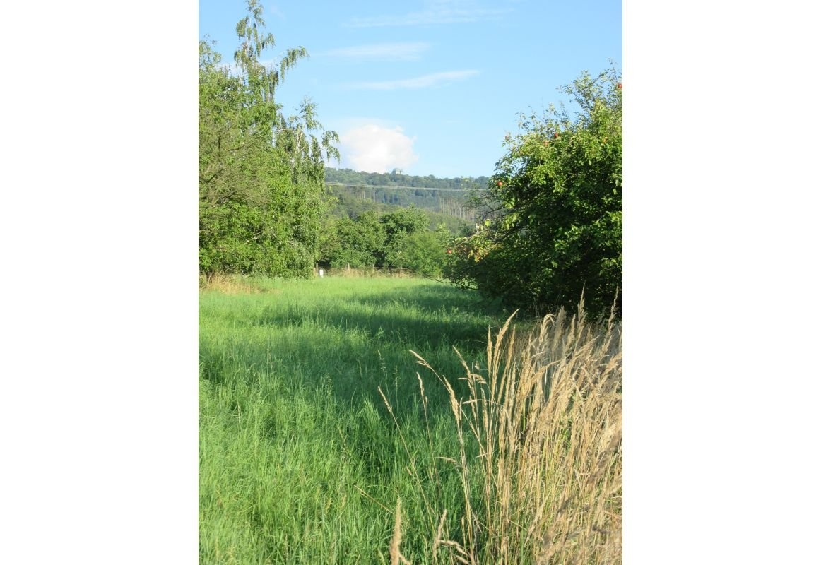 Prodej rekreačního pozemku v k.ú. Bystřice pod Hostýnem - 2