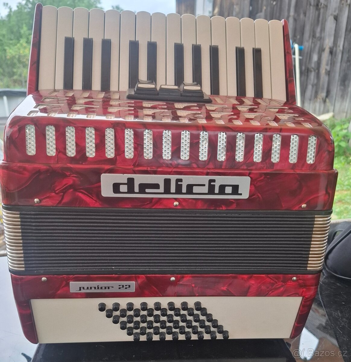 Akordeon delicia junior 22,48 bas - 2