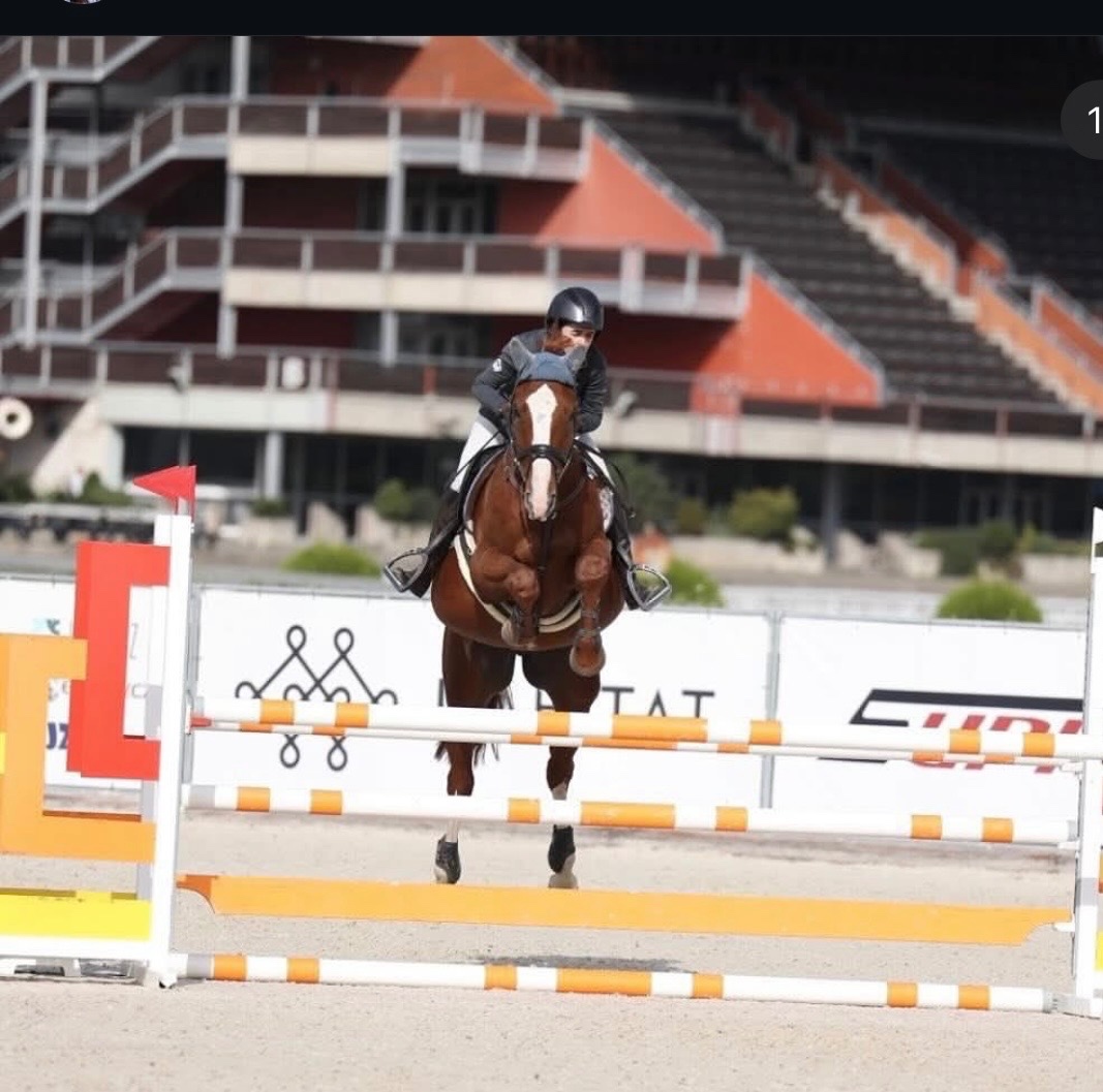 Líbivý, charakterní valach - 2