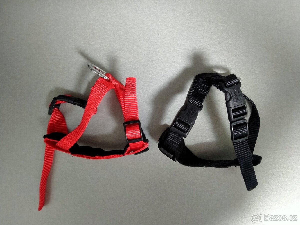 Postroj malý pes / větší kočka - 2