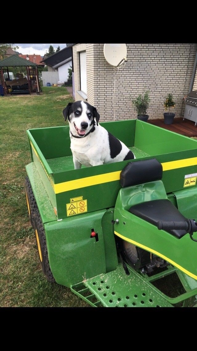 Gator John Deere - 2