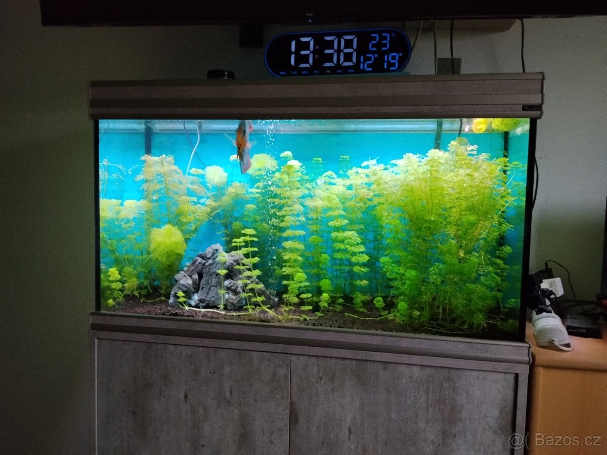 Prodám akvárium s příslušenstvím - 2