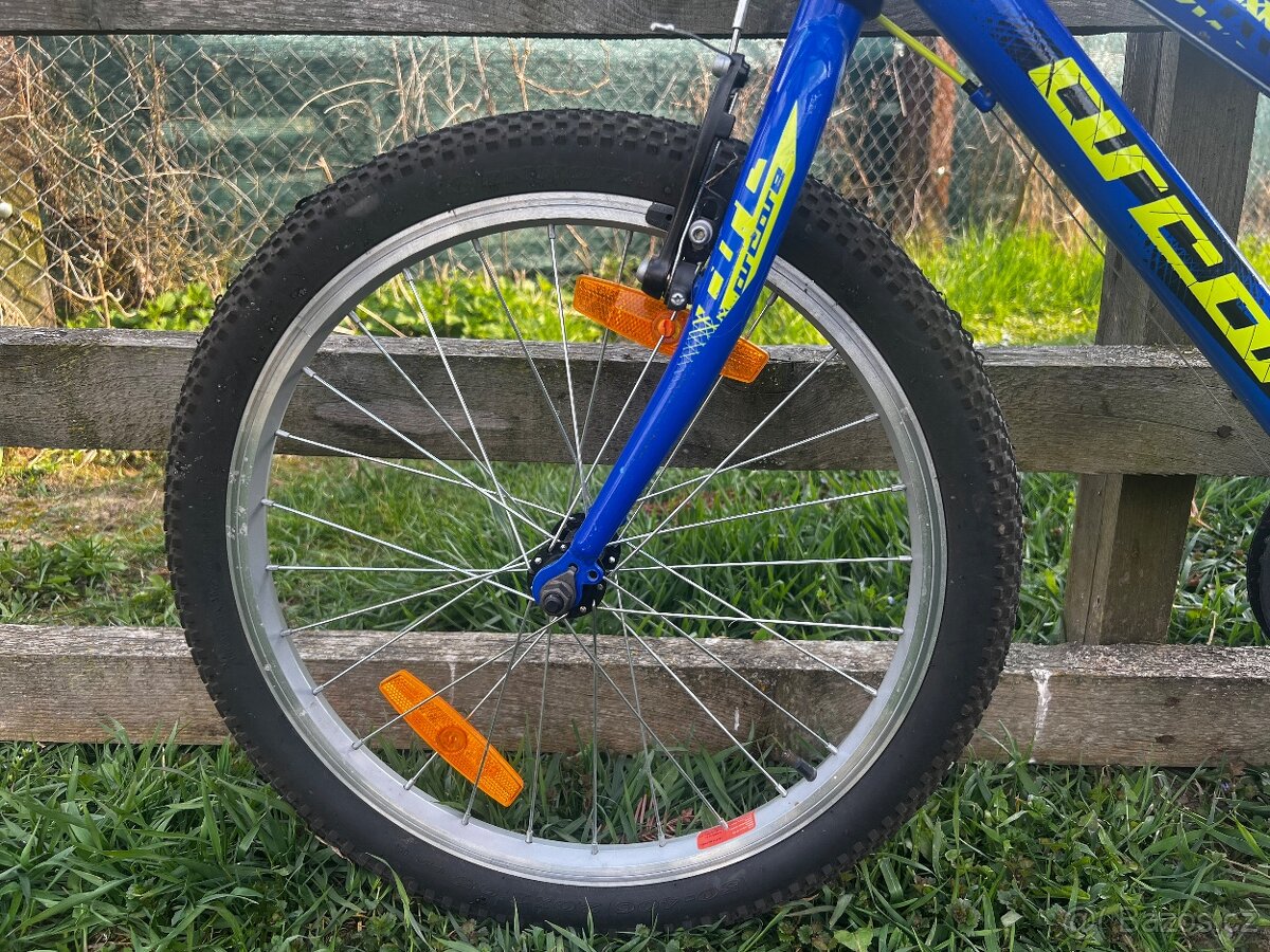 Arcore TEMPER 20 Dětské kolo - 2