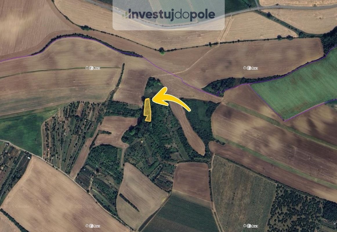 Prodej specifického pozemku 2 854 m², Svatobořice-Mistřín - - 2