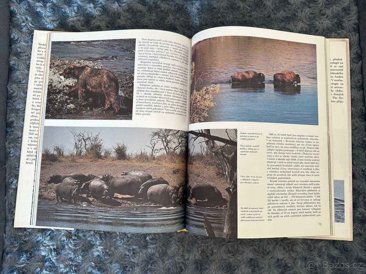 Migrace zvířat - John Cloudsley - 2