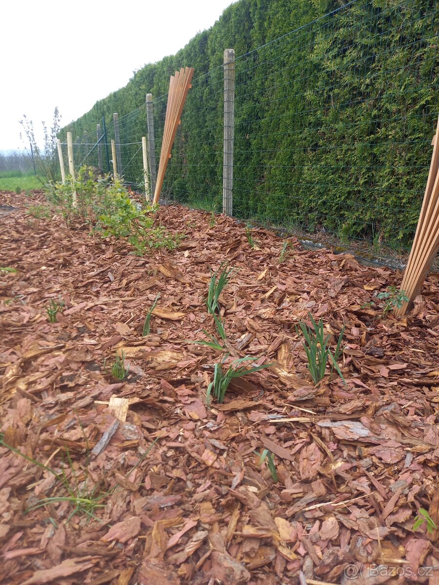 mulčovací kůra - okrasná modřínová - 2