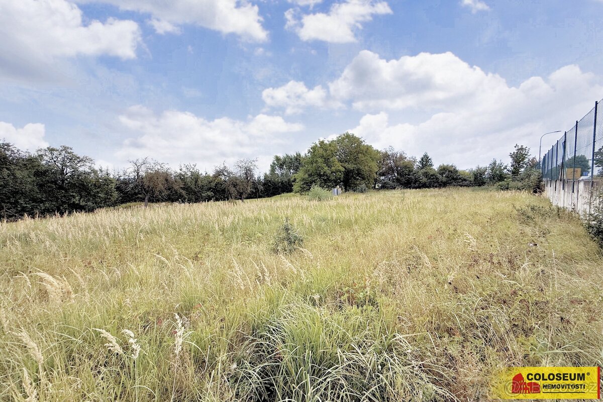 Sebranice - zahrada, příjezdová asfaltová komunikace, oploce - 2