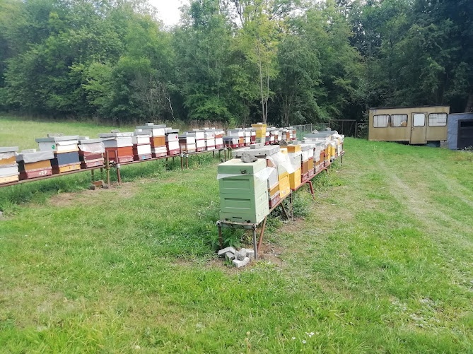 Prodám včelstva + úly + stanoviště Karlovarsko - 2