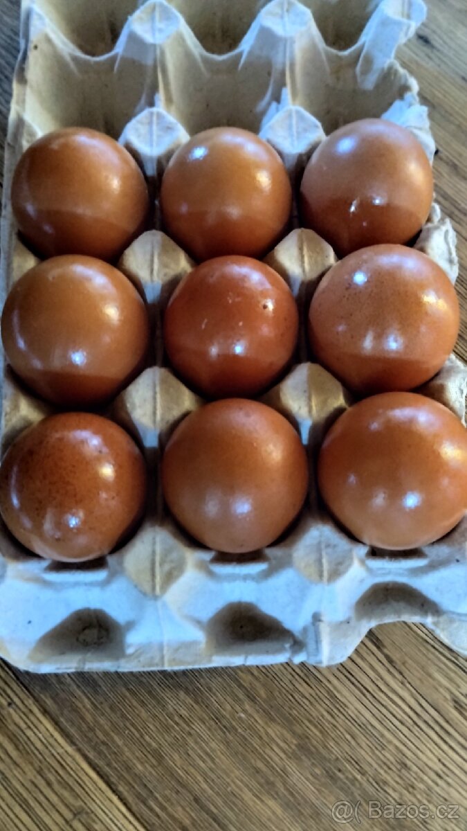 NV Maransky měděnokrké - 2