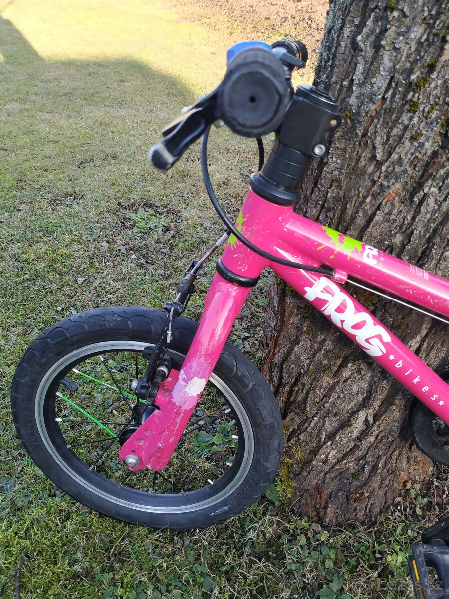 Kolo Frog 14" - 2