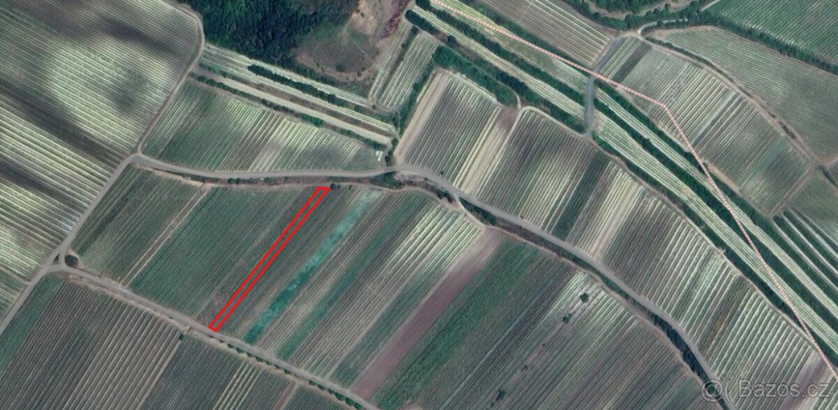 PRODEJ VINICE V BŘEZÍ U MIKULOVA - 2