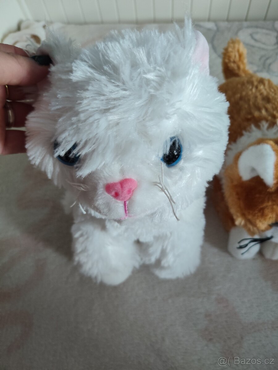 Plyšáci kočky - 2