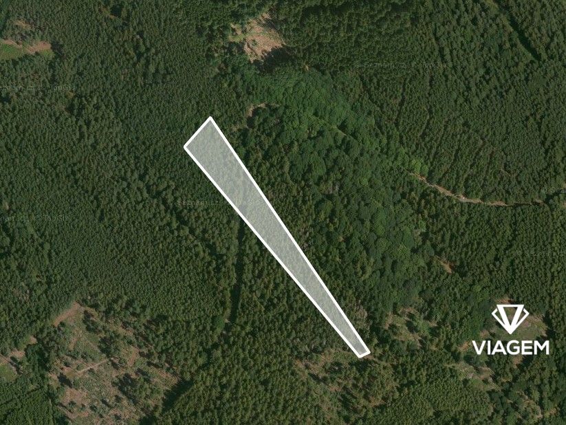 Les 4 087 m² - 2
