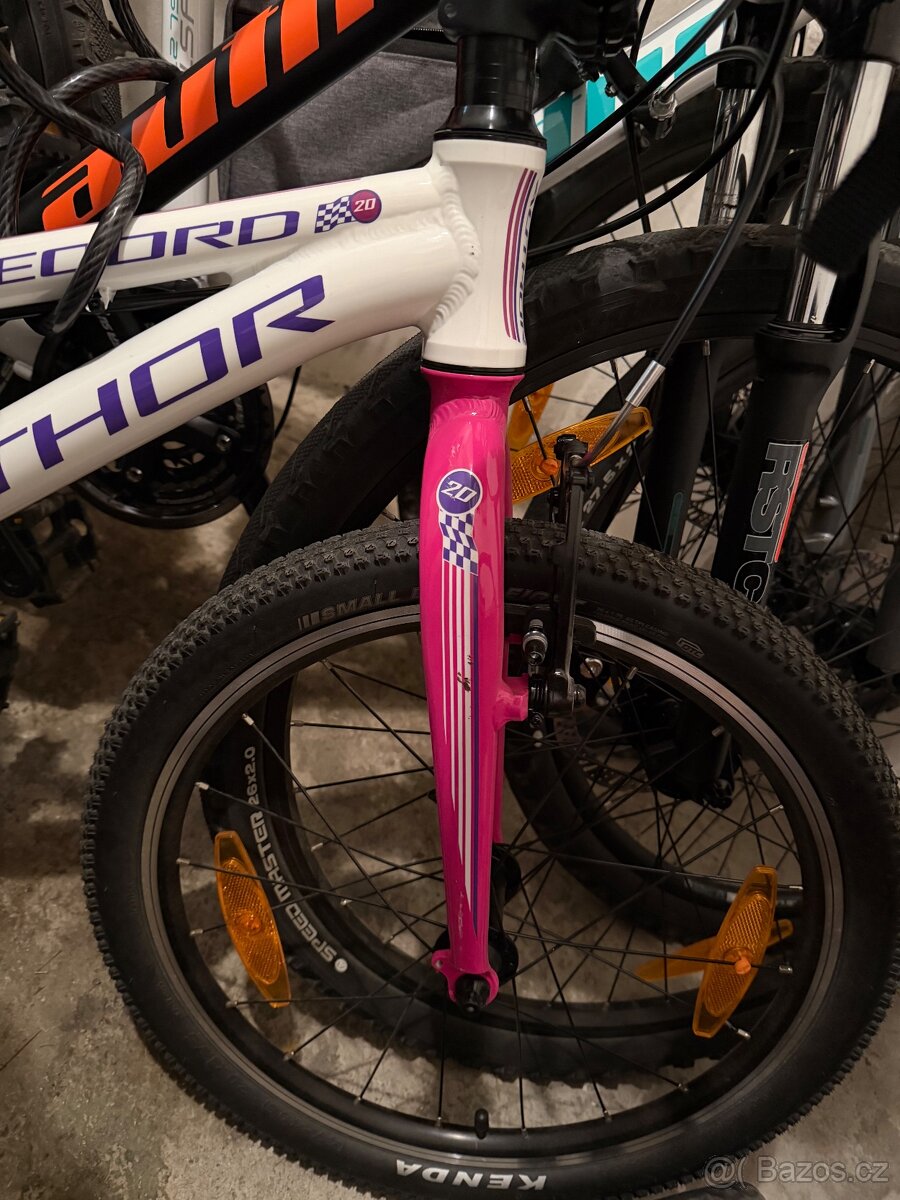 Author record 20” - 2