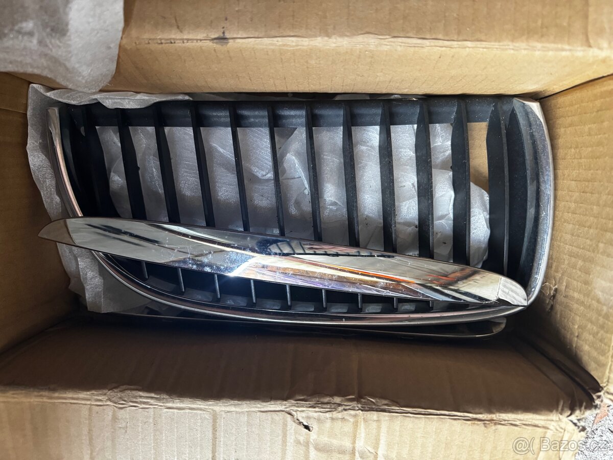 Ledvinky e90 preface - 2